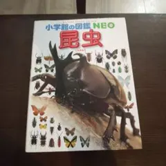 小学校の図鑑 NEO 昆虫