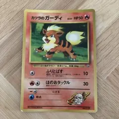 2025年最新】カツラのガーディの人気アイテム - メルカリ