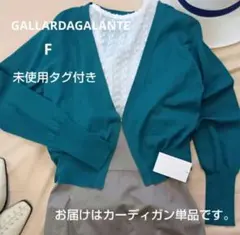 p*☆様 ガリャルダガランテ 今季半袖 Vネック カーディガン ブラウン