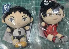 ハイキュー！！ぬいもっち 2種