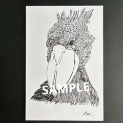 ハシビロコウ ペン画 イラスト アート