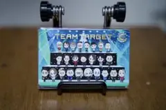シークレットTEAM TARGET ダーツライブカード ダーツ祭り2025限定