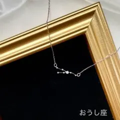 No.1647 ハンドメイド　星座ネックレス（おうし座）シルバー
