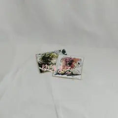 鬼滅の刃　兄妹の絆　那田蜘蛛山編 ミニ色紙 セット