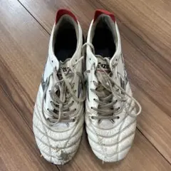 Mizuno モレリアネオ4 25.5センチ