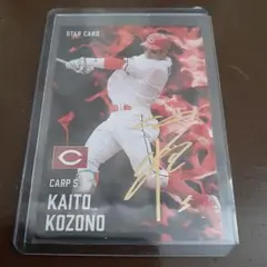 Item thumbnail for item e41e1a68-66bf-4558-964c-7b95965d09da