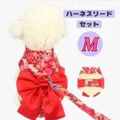 Item thumbnail for item ba0cf5ea-1c64-46cd-ba96-9ed46d1db27c