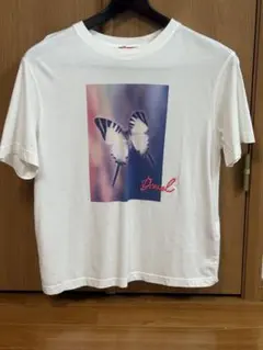 ディーゼル　美品　蝶 グラフィック Tシャツ 半袖　Mサイズ