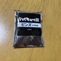 2026年最新】ハイキュー 全巻 ピンズの人気アイテム - メルカリ