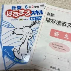 計算 はなまるスキル 6年2学期 東京書籍のサムネイル
