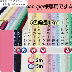 cao ꪔ̤̮ꪔ̤̮様専用　17m　0.6cm幅ストレッチフリルレース