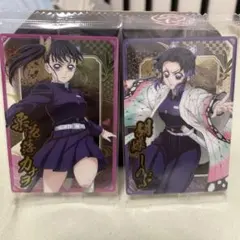 【鬼滅の刃】ウエハース 第10弾 胡蝶しのぶ 栗花落カナヲセット