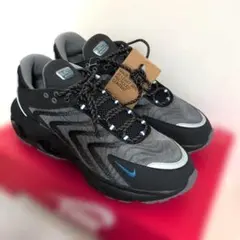 25cm ナイキ エアマックスプラス 