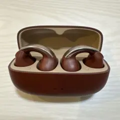 【こここ様専用】Victor ワイヤレスイヤホン HA-NP1T