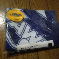 Item thumbnail for item 92c76d1b-863f-46e7-a1d1-5cfab050d805