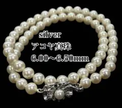 Item thumbnail for item a70b4644-945b-4be6-bc08-66ebe792a7e3