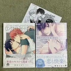 ノラガミ スペシャルイベント アニメイト 特典 クリアファイル 希少 