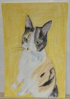 猫❤️ネコ ねこ 原画 鉛筆画 色鉛筆画 絵画 手描き イラスト A5サイズ