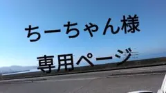 ちーちゃん様専用ページ