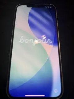 iPhone12 Pro MAX 512