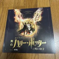 美品　舞台　ハリーポッターと呪いの子　パンフレット