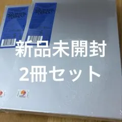 未開封 SEVENTEEN JEONGHAN X WONWOO THIS MAN