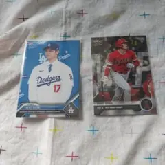 Item thumbnail for item ce82e6ae-747f-421c-80c2-dc31a7be7421