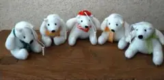 シロクマ縫いぐるみ