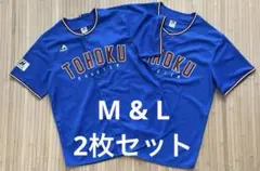 Item thumbnail for item 67a877b1-a7dd-4f2b-9c56-c4ad94145aad