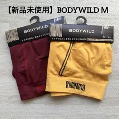 Item thumbnail for item 8156c7e3-34a3-40ff-8f37-51bfed843336