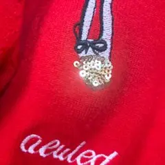 【ニットカーディガン】赤色　即日発送