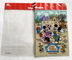 ディズニーランド 43周年 クリアホルダー