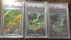 ツタージャ　ジャノビー　ジャローダ　psa10 3連番 PSA10] ツタージャ ジャノビー ジャローダex 3連番 PSA10連番