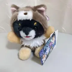 豆しば三兄弟 もふっとオオカミ 【kiyoさま専用ページ】 Amazon.co.jp: 豆しば三兄弟 ゆるぐるみ オオカミ 豆太郎 犬