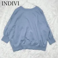 【未使用タグ付】INDIVI インディヴィ　大きいサイズくすみブルー ニット