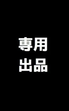 専用出品