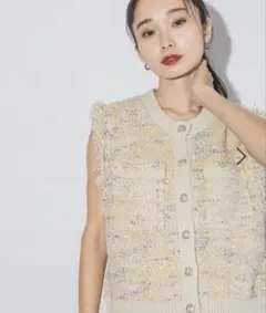 完売 JEANASIS ジャガードニットショートベスト 新品未使用タグ付き