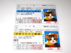【なめ猫 免許証風 ブロマイド 2枚 C】なめんなよ猫 なめねこ 猫 ネコ