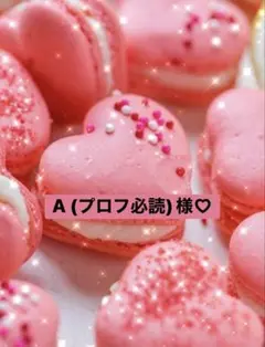 A (プロフ必読)様専用