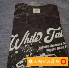 ワイテルズ 武道館 グッズ Tシャツ - メルカリ