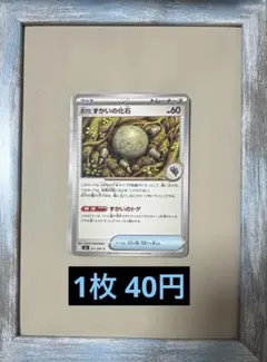 残り3枚 古びた ずがいの化石のサムネイル