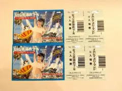 ナガシマスパーランド ジャンボ海水プール 入場券 大人2枚 - メルカリ