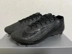 Item thumbnail for item 34f1442d-e675-4f56-991f-0759e794e3b0