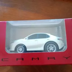 Item thumbnail for item 4a8d05eb-1967-44e1-b7a9-09aa305eae1a