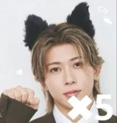 Myojo 2026 11月号 通常版 わんにゃんカード 末澤誠也