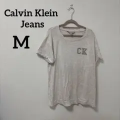 Calvin Klein Jeans CKロゴ Tシャツ M ブランドロゴT
