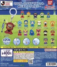 【hime様】 2025 J1クラブマスコット めじるしアクセサリー