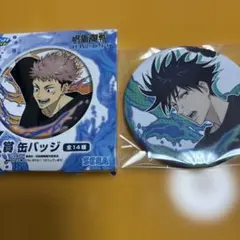 呪術廻戦 セガラッキーくじ SPLASH×BATTLE K賞缶バッジ　伏黒恵