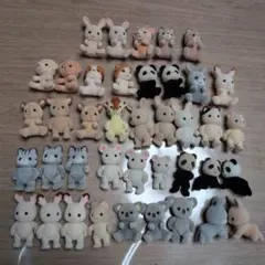 Item thumbnail for item d0bb60f6-ca19-4ab8-ba57-6f71b0ecbd16