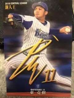 プロ野球チップス 2019 阪神タイガース